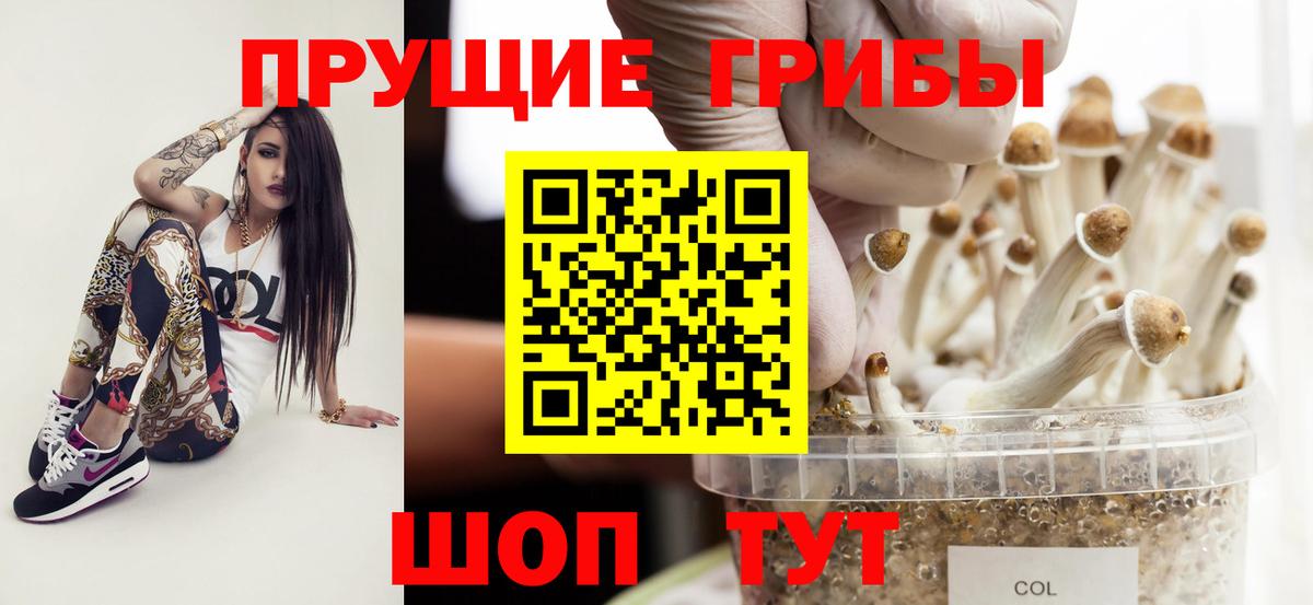 Кизляр  Галлюциногенные грибы мицелий  Вход с VPN 