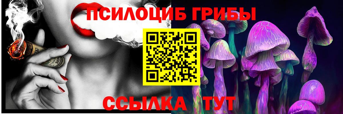 Галлюциногенные грибы Cubensis Кизляр